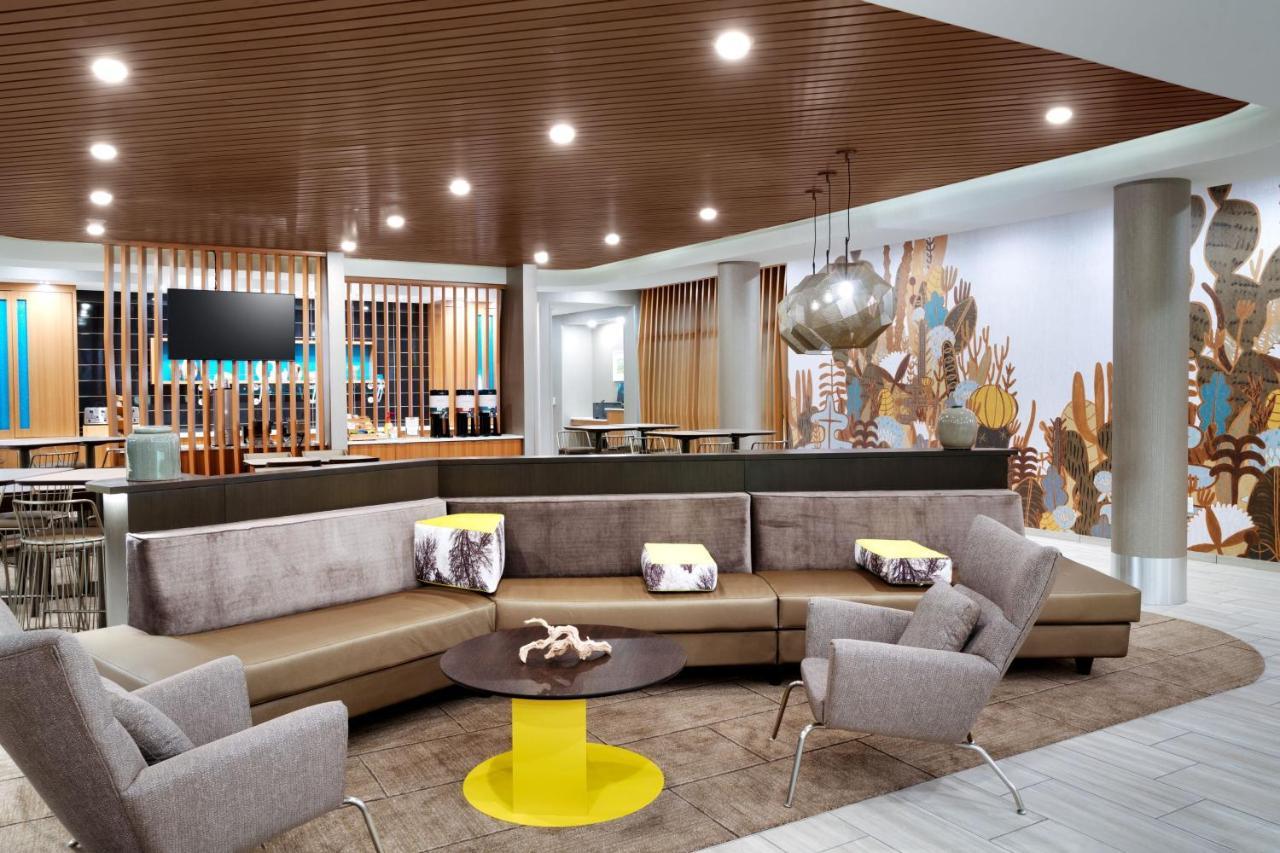 Springhill Suites By Marriott Phoenix Scottsdale Zewnętrze zdjęcie